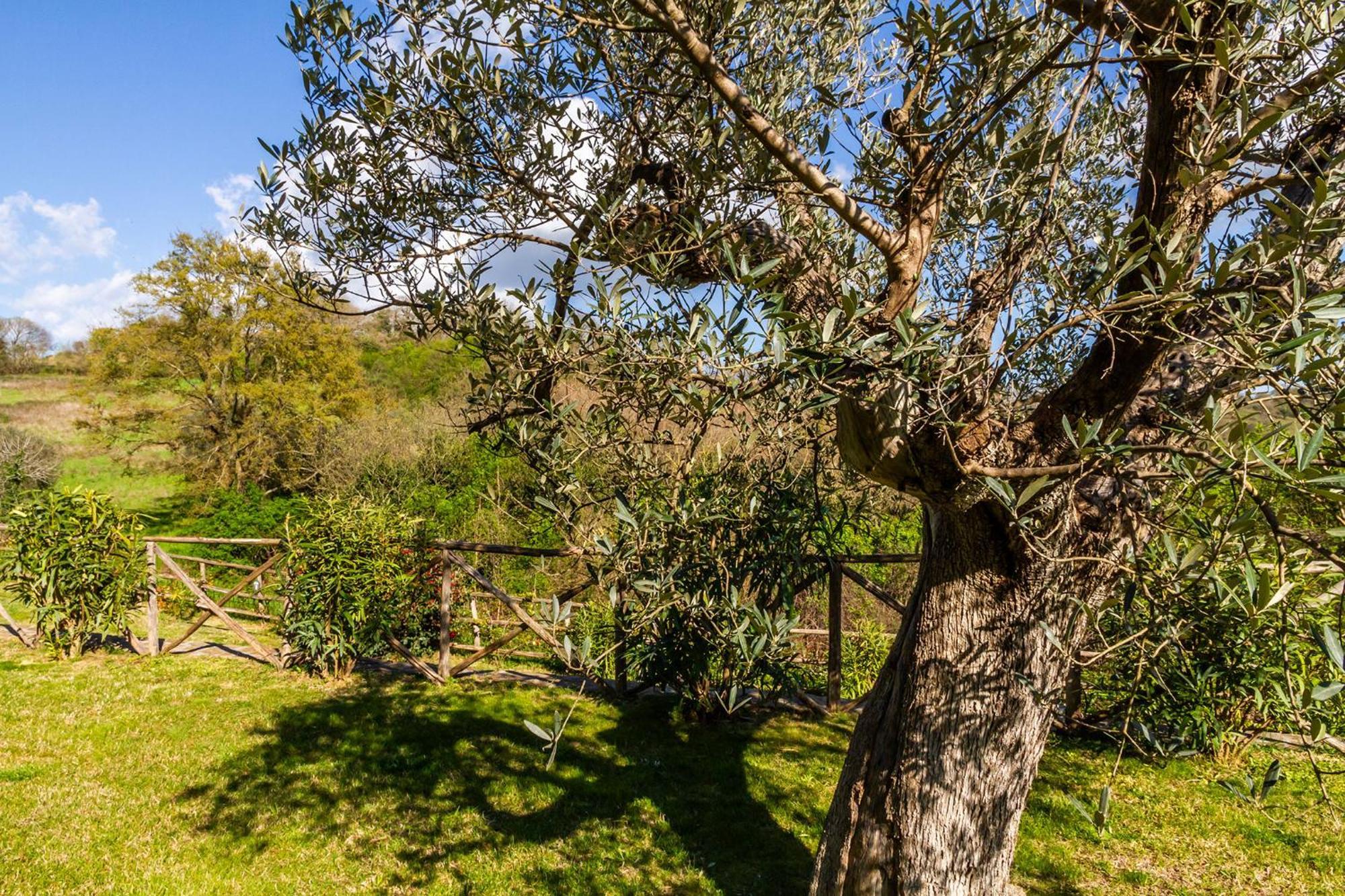 Home With A View In Scansano, Tuscany エクステリア 写真